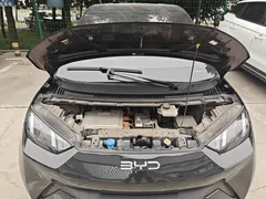 2025 BYD Seagull 305km Vitality, чёрный — фото 20