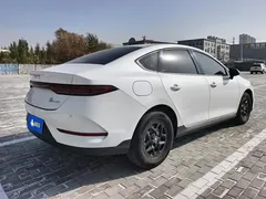 2025 BYD Qin PLUS DM-i PHEV Smart Driving 55km Leading, белый — фото 3