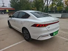 2024 BYD Qin PLUS Honor DM-i PHEV 55km Leading, белый — фото 5