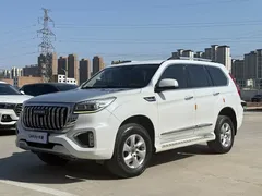 2022 Haval H9 2.0T 4WD Elite 5-seat, белый — фото 1