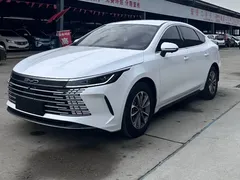 2024 BYD Destroyer 05 DM-i PHEV 55km Luxury, белый — фото 1