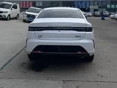 2024 BYD Destroyer 05 DM-i PHEV 55km Luxury, белый — фото 10