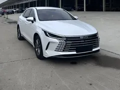 2024 BYD Destroyer 05 DM-i PHEV 55km Luxury, белый — фото 13