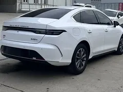 2024 BYD Destroyer 05 DM-i PHEV 55km Luxury, белый — фото 15