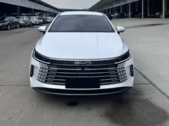 2024 BYD Destroyer 05 DM-i PHEV 55km Luxury, белый — фото 16