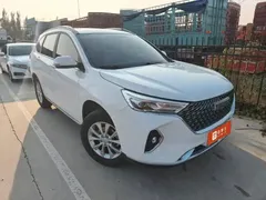 2023 Haval M6 Plus 1.5T MT Luxury, белый — фото 2