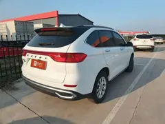 2023 Haval M6 Plus 1.5T MT Luxury, белый — фото 3