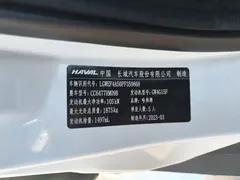 2023 Haval M6 Plus 1.5T MT Luxury, белый — фото 9