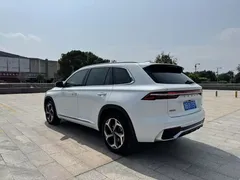 2021 Geely Monjaro 2.0TD DCT EVO 2WD Premium, белый — фото 6