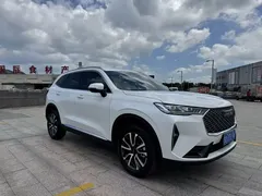 2022 Haval H6 3rd Gen 1.5T AT 2WD Max, белый — фото 3