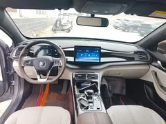 2024 BYD Qin PLUS Honor DM-i PHEV 55km Leading — фото 10