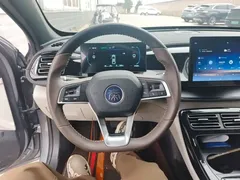 2024 BYD Qin PLUS Honor DM-i PHEV 55km Leading — фото 11