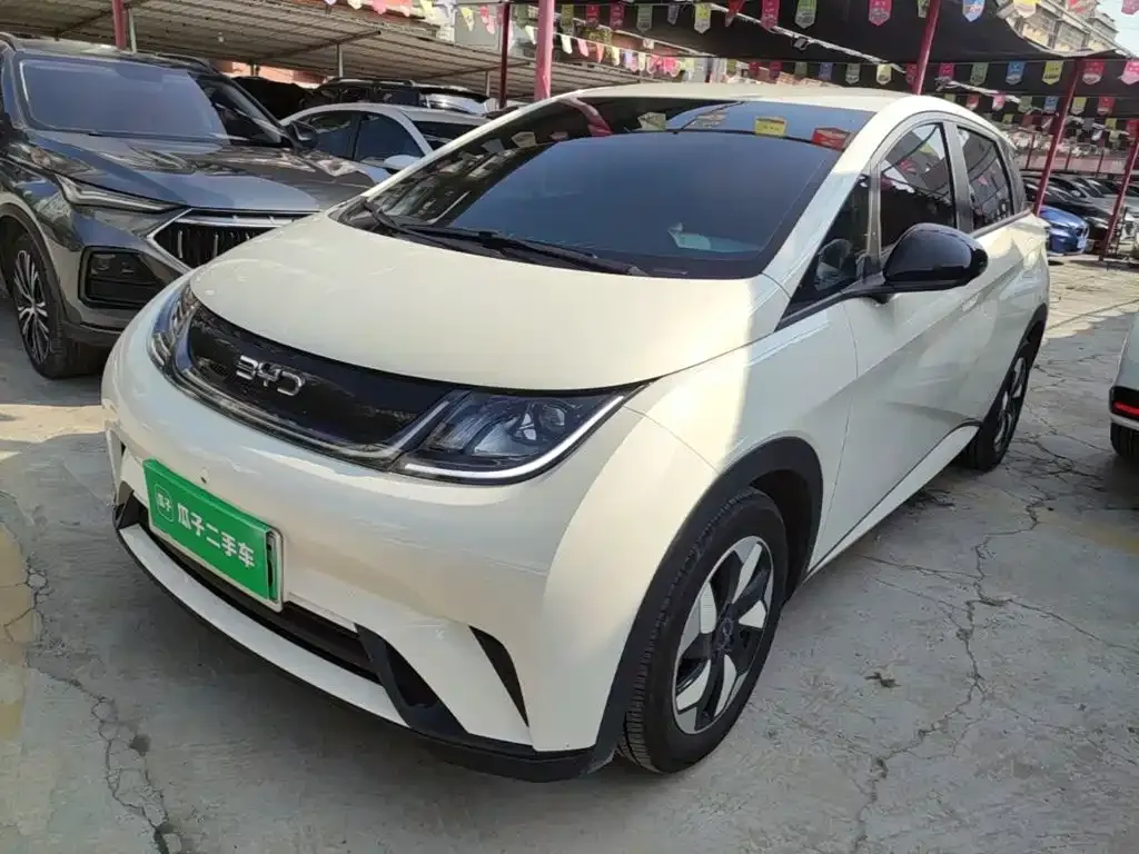 2025 BYD Dolphin 420km Freedom