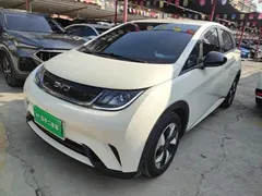2025 BYD Dolphin 420km Freedom — фото 2