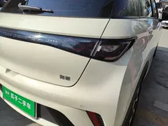 2025 BYD Dolphin 420km Freedom — фото 8