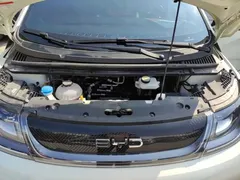 2025 BYD Dolphin 420km Freedom — фото 20