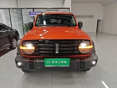 2021 Tank 300 Off-road 2.0T Conqueror — фото 3