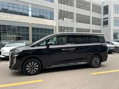 2024 Hongqi HQ9 2.0T PHEV 4WD Business — фото 4