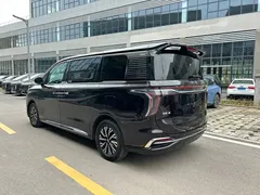 2024 Hongqi HQ9 2.0T PHEV 4WD Business — фото 5