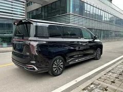 2024 Hongqi HQ9 2.0T PHEV 4WD Business — фото 7