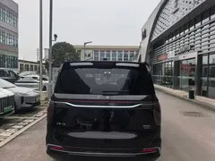 2024 Hongqi HQ9 2.0T PHEV 4WD Business — фото 12