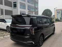 2024 Hongqi HQ9 2.0T PHEV 4WD Business — фото 13