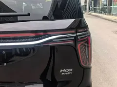 2024 Hongqi HQ9 2.0T PHEV 4WD Business — фото 15