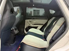 2024 BYD Song PLUS Honor DM-i PHEV 110km Flagship — фото 4