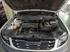 2021 Haval Dargo 1.5T DCT 2WD Border Collie, белый — фото 20