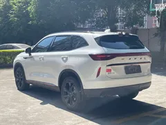 2021 Haval H6 3rd Gen 2.0T AT 4WD Supreme, белый — фото 6