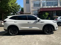 2021 Haval H6 3rd Gen 2.0T AT 4WD Supreme, белый — фото 8