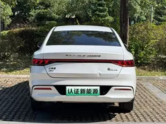 2023 BYD Qin PLUS Champion DM-i PHEV 55KM Leading, белый — фото 15