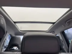2025 BYD Sea Lion 05 DM-i PHEV Smart Driving 75KM Luxury — фото 13