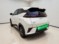 2025 BYD Seagull EV 305km, белый — фото 4