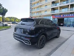 2025 Hongqi HS5 2.0T 2WD Qixiang Pro, чёрный — фото 5