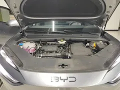 2025 BYD Sealion 06 DM-i PHEV 205 Pro — фото 10