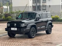 2021 Tank 300 Off-road 2.0T Conqueror, чёрный — фото 1