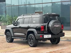 2021 Tank 300 Off-road 2.0T Conqueror, чёрный — фото 14