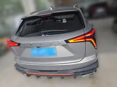 2022 Haval Shenshou 1.5T DHT — фото 8