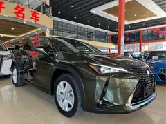 2020 Lexus UX 260h, зелёный — фото 3