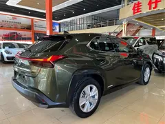 2020 Lexus UX 260h, зелёный — фото 4