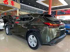 2020 Lexus UX 260h, зелёный — фото 6