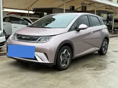 2021 BYD Dolphin EV 405km Freedom — фото 1