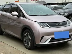 2021 BYD Dolphin EV 405km Freedom — фото 2