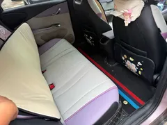 2021 BYD Dolphin EV 405km Freedom — фото 4