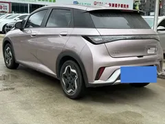 2021 BYD Dolphin EV 405km Freedom — фото 8