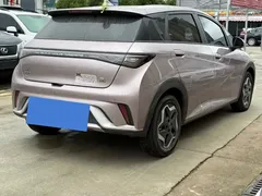 2021 BYD Dolphin EV 405km Freedom — фото 9