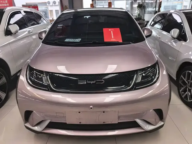 2021 BYD Dolphin 405km Fashion