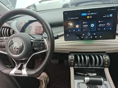 2023 BYD Yuan PLUS Champion 430km — фото 10