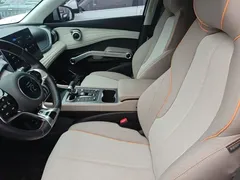 2023 BYD Yuan PLUS Champion 430km — фото 15